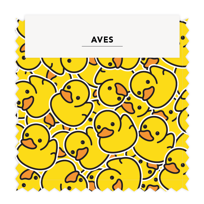 Aves 05