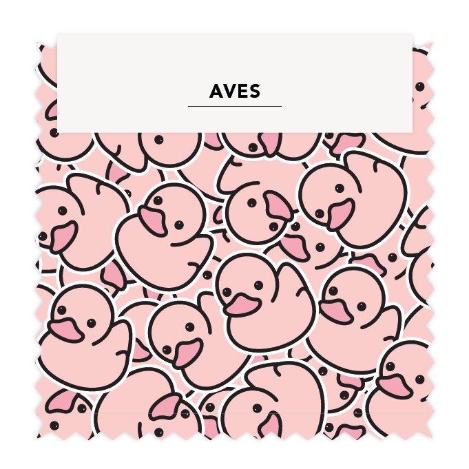 Aves 06