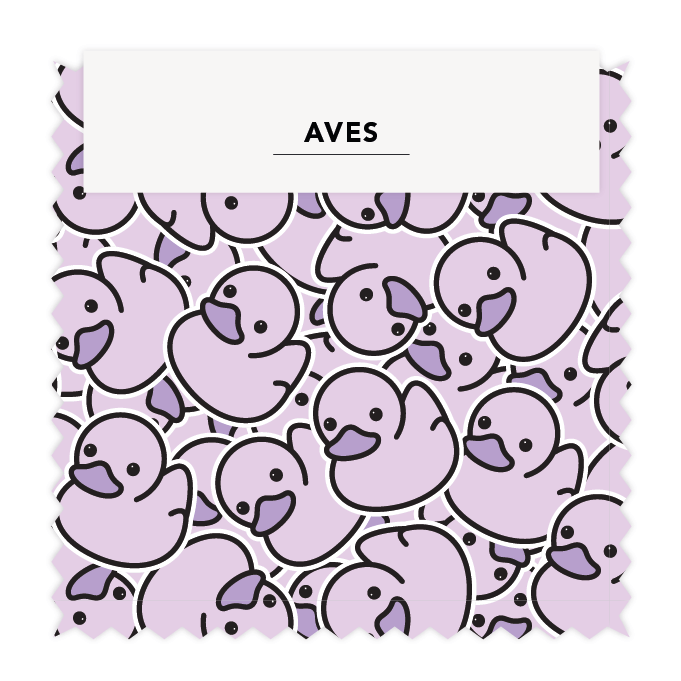 Aves 07