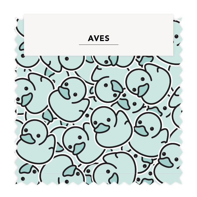 Aves 08