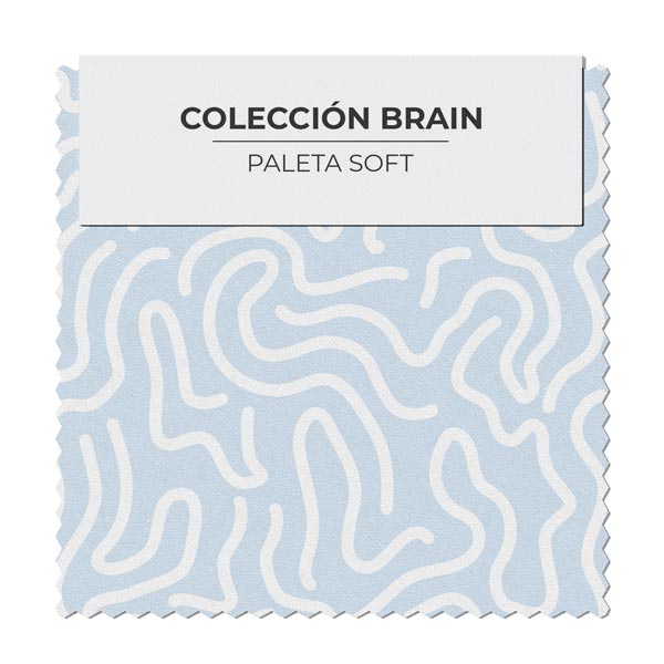 Cerebro Celeste