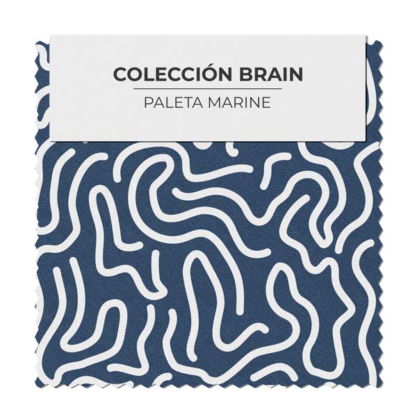 Cerebro Zebra