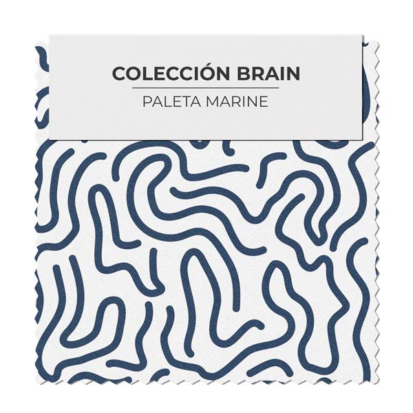 Cerebro Blanco y Azul