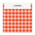 ⚡ Vichy Cuadros 74