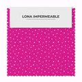 Lucero Pequeño Fucsia