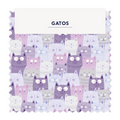 Gatos 02