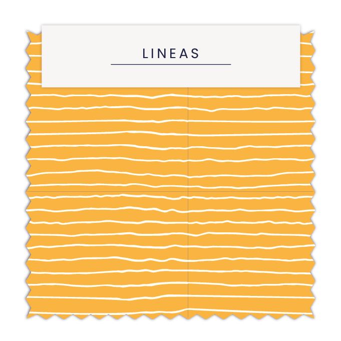 ⚡ Líneas 24
