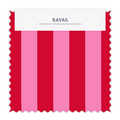 ⚡Rayas 2cm - 31