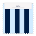 ⚡Rayas 2cm - 35