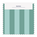⚡Rayas 2cm - 37