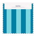 ⚡Rayas 2cm - 38