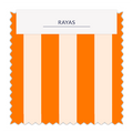 ⚡Rayas 2cm - 43