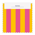⚡Rayas 2cm - 45