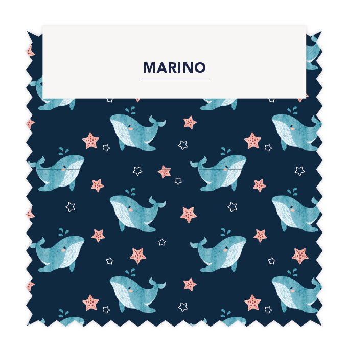 ⚡ MARINO 02