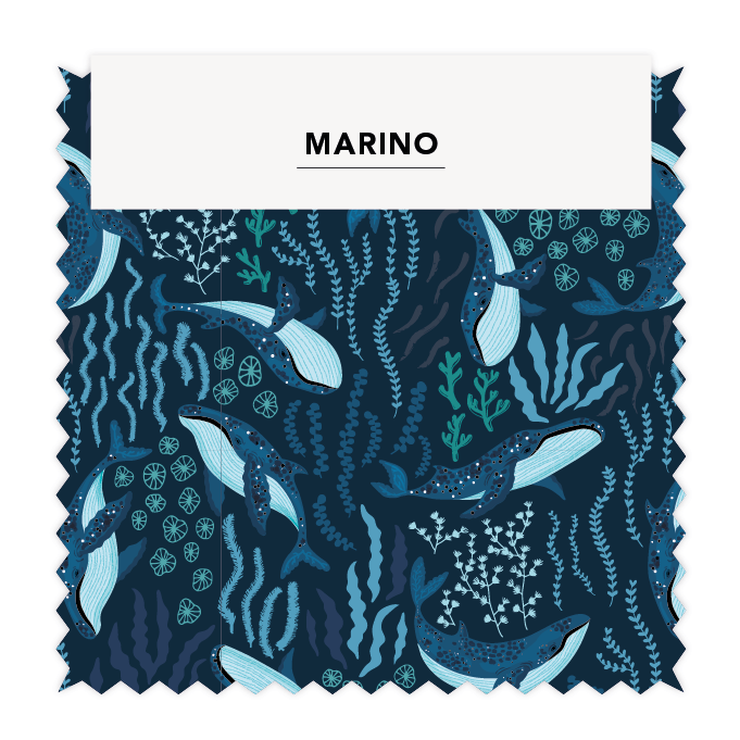 ⚡ MARINO 03