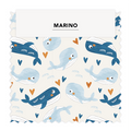 ⚡ MARINO 06