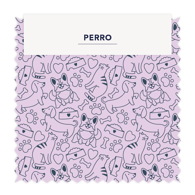 ⚡ PERROS 02