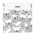 Perro 16
