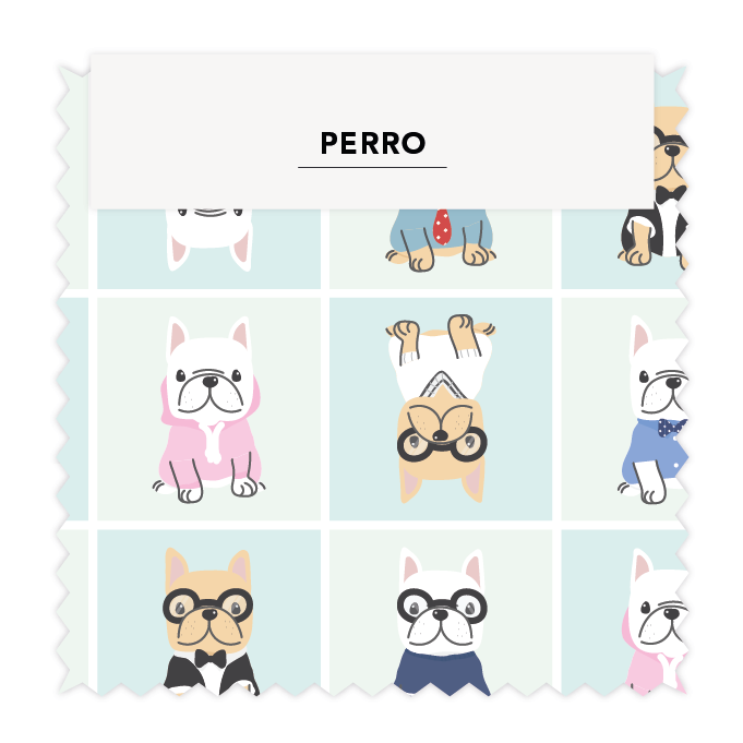 ⚡ PERROS 17