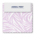 Zebra Malva